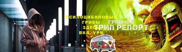 СК Зеленодольск