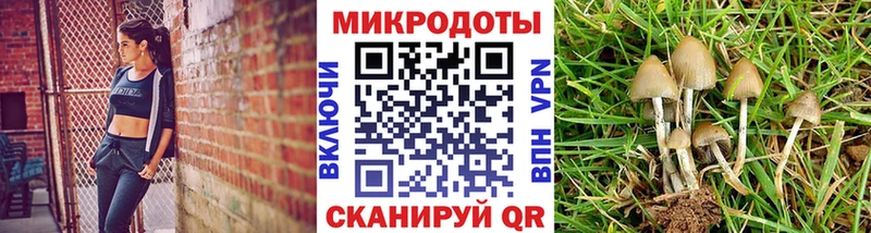 купить наркоту  Гусь-Хрустальный  Галлюциногенные грибы мухоморы 