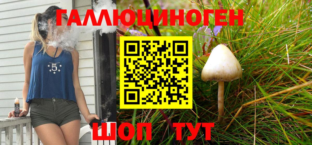 купить наркотик  Псилоцибиновые грибы Cubensis  Вход с VPN  Гусь-Хрустальный 